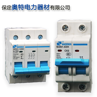 高分段小型斷路器廠(chǎng)家